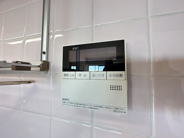 エバーグリーン その他17