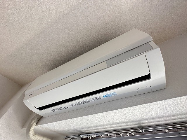 エバーグリーン その他19