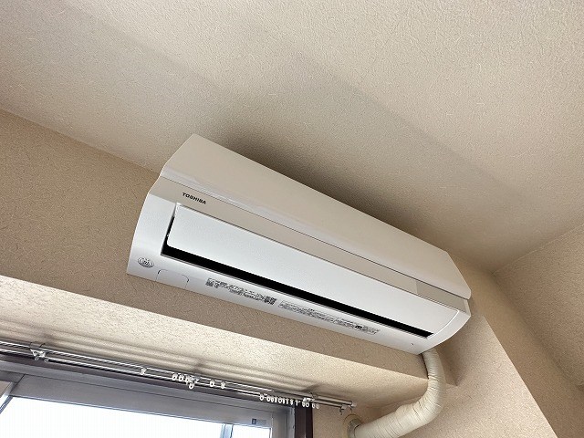 エバーグリーン その他22