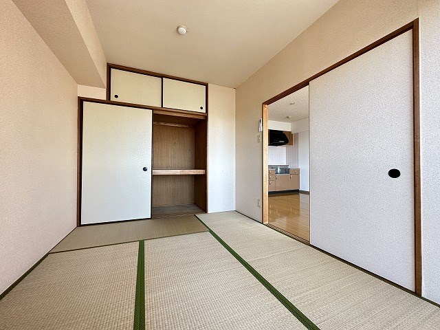 エバーグリーン その他23