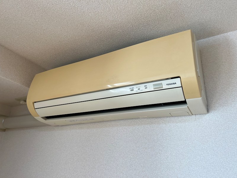 Ｇｌｏｒｉｏｕｓ　Ｂｕｉｌ その他5