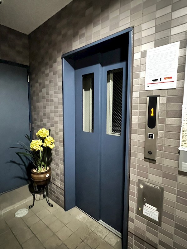 Ｇｌｏｒｉｏｕｓ　Ｂｕｉｌ その他9