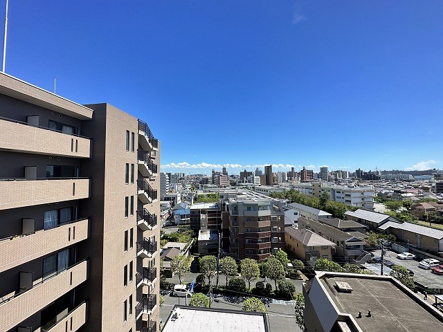 エバーグリーン その他3