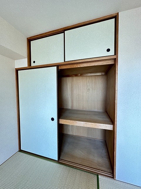 エバーグリーン その他6