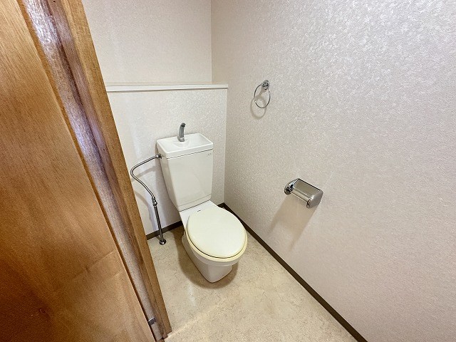 エバーグリーン その他8