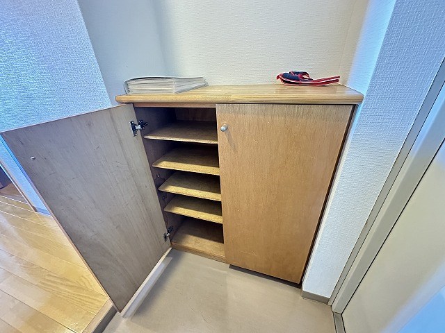 エバーグリーン その他10