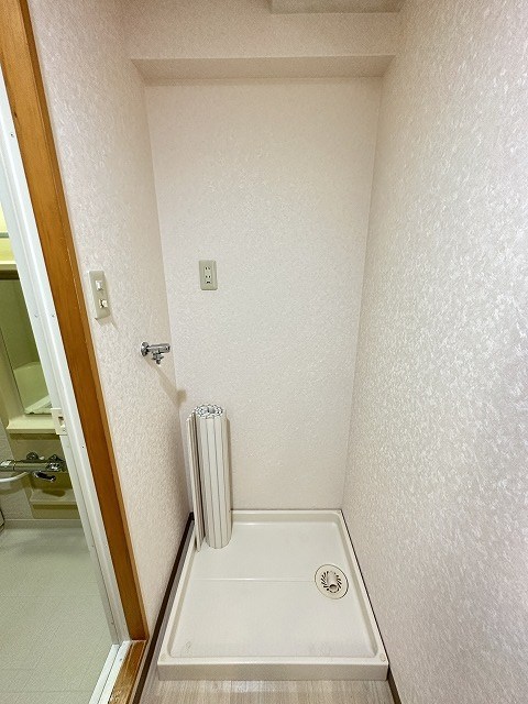 エバーグリーン その他12