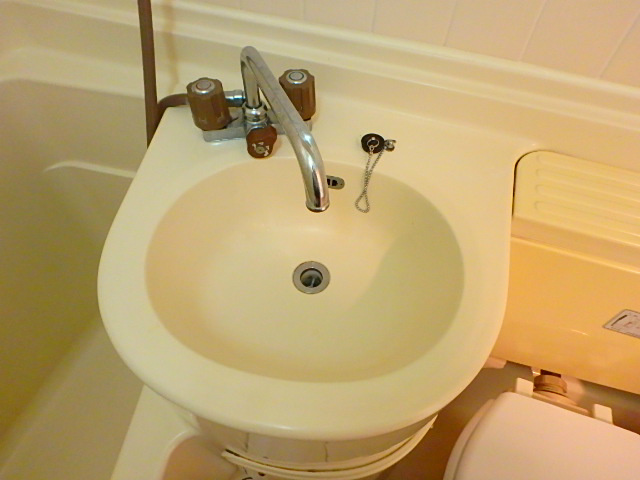 ＳＡＫＵＲＡ その他2