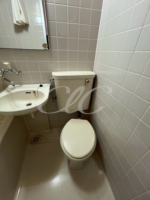 ダイアパレス亀有2 その他3