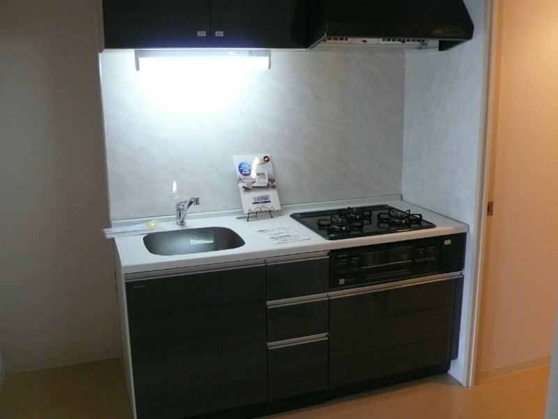 瑞穂フラッツ キッチン