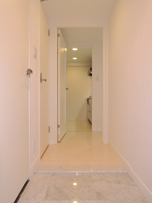 カスタリア茅場町  玄関