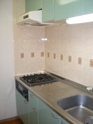 レニエ・ラ・ヴェルトゥ キッチン