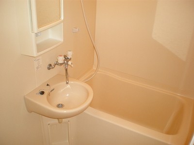 レニエ・ラ・ヴェルトゥ 風呂画像