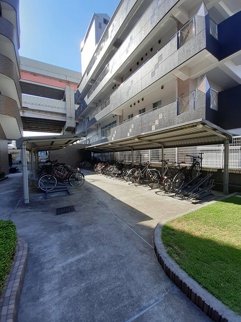 プラシード その他6