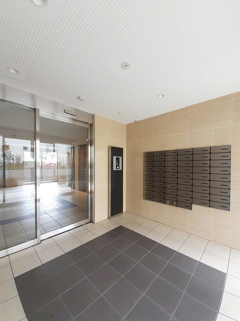 プラシード その他5