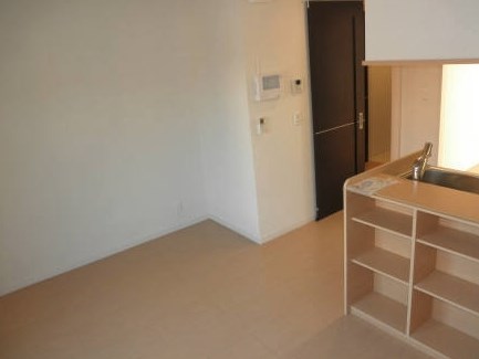 アルタイル/ベガ　アルタイル その他4