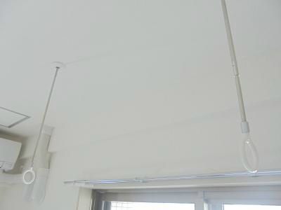 ローズウッド篠崎 その他14