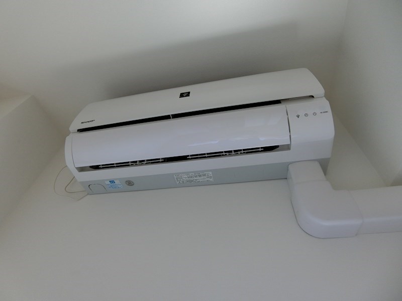 ホワイル椿 その他3