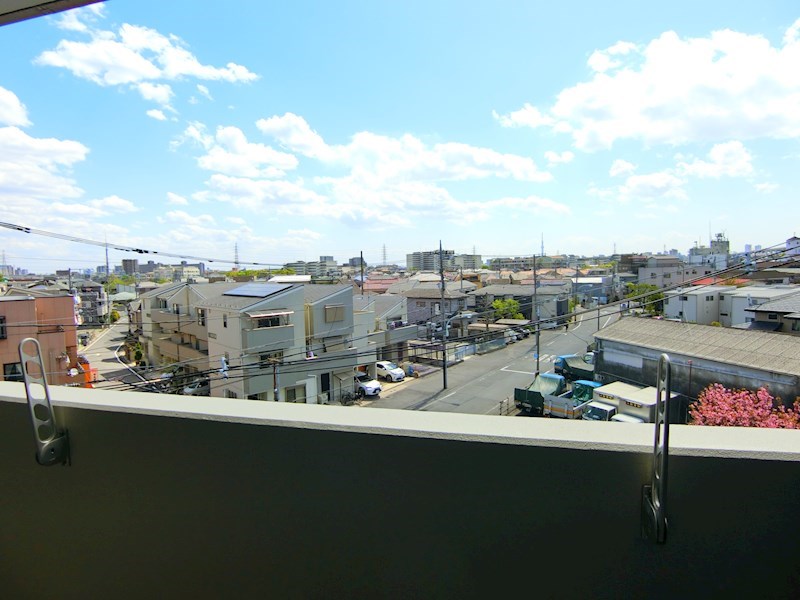 ホワイル椿 その他6