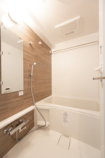 Daiwa　Grace　Maison亀有 風呂画像