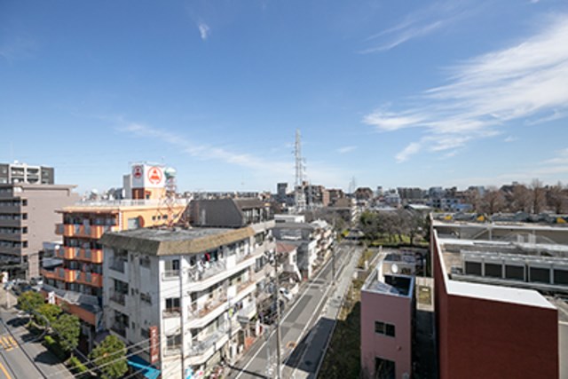 Sunny Side Forest その他4