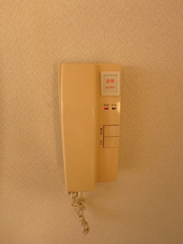 エバーグリーン その他10