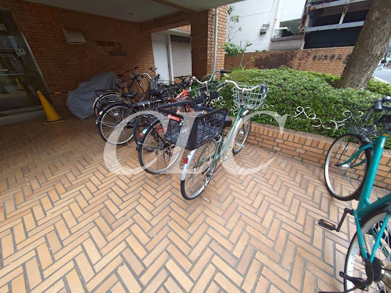 クリスタル３ その他14