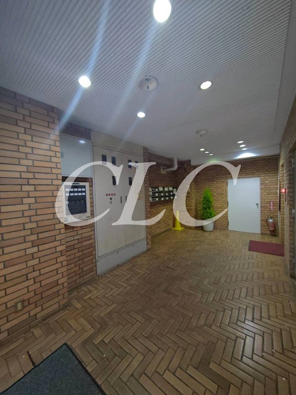 クリスタル３ その他15