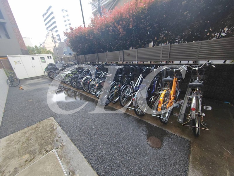 シュールフローレ その他21