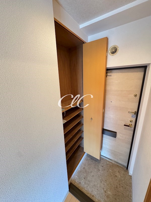 Primavera uno その他7