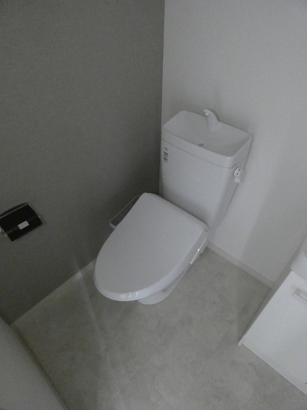 ルミノソ柴又   その他2