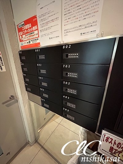 ルクソール　スター その他8