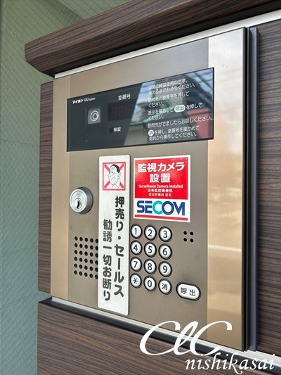 ルクソール　スター その他14