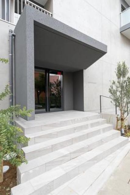 Sunny Side Forest その他5