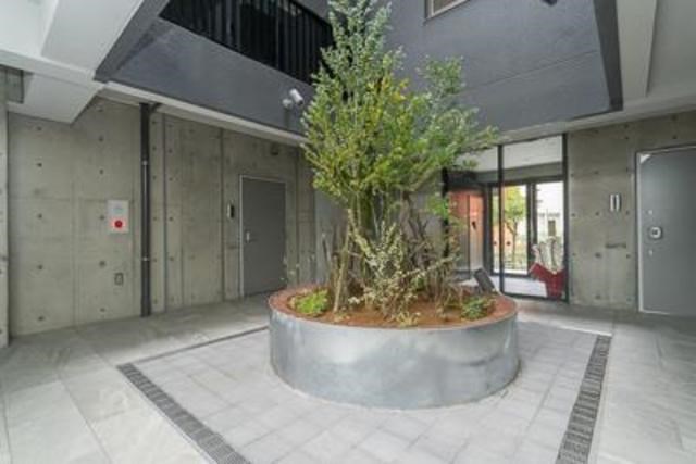 Sunny Side Forest その他6