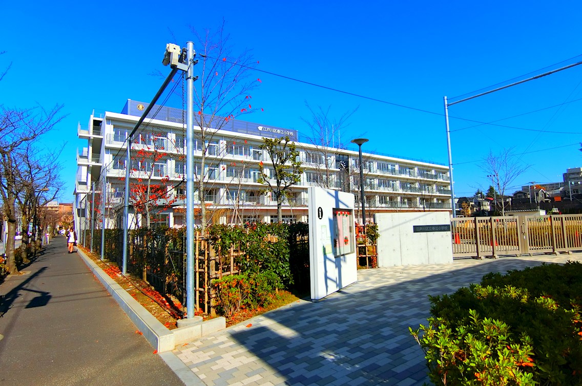 椿センターハイツ 周辺画像6