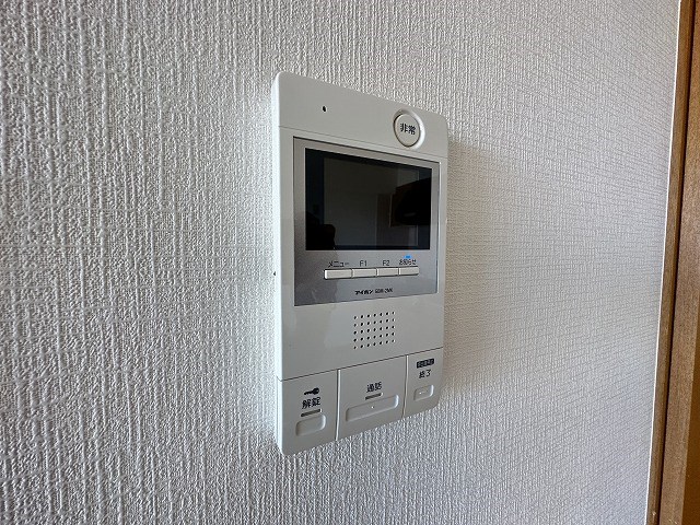 エバーグリーン その他4