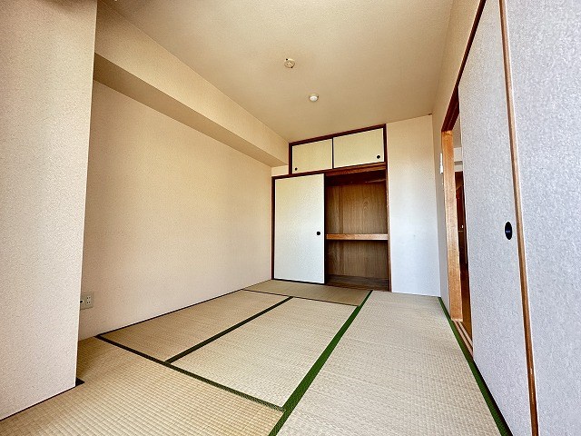 エバーグリーン その他21