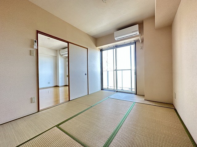 エバーグリーン その他24