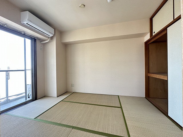 エバーグリーン その他25