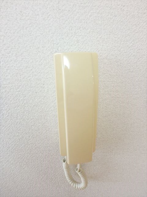 ルチア その他2