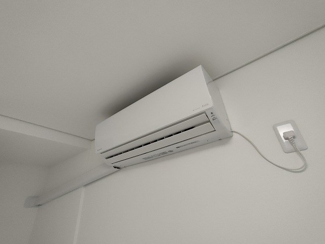 プリムローズ その他4