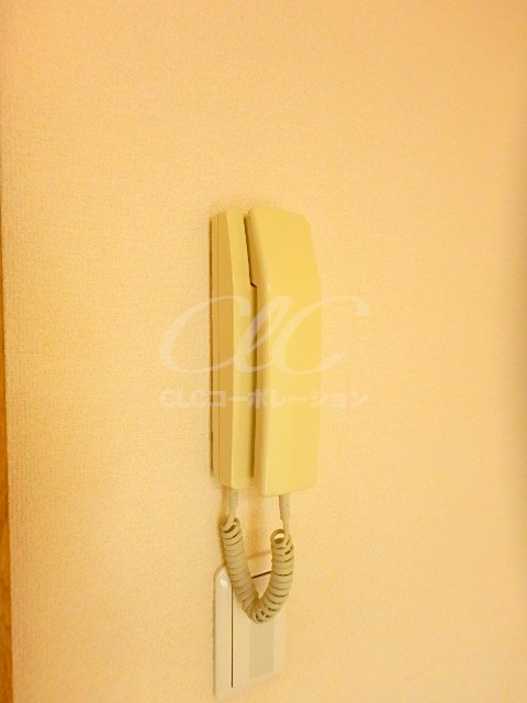 リゾプリマベーラ その他2