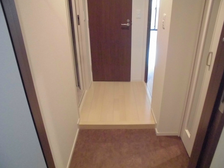 ブリスキューブ 玄関