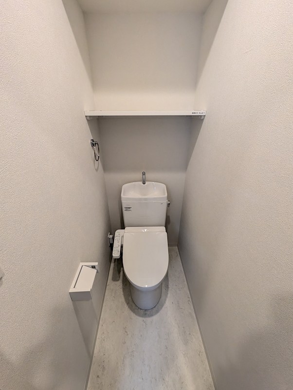 ステラテラス その他4