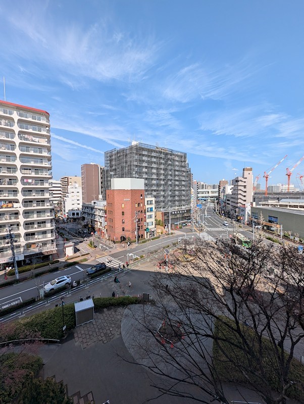 ステラテラス その他6