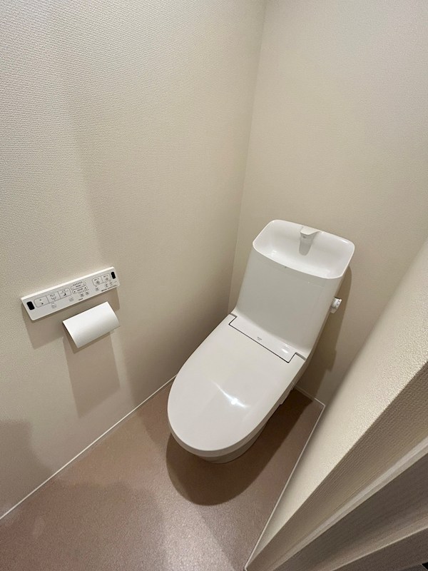 ミコ　ケヤキ その他1