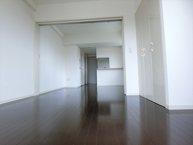 エクセレンシア駒込 リビング