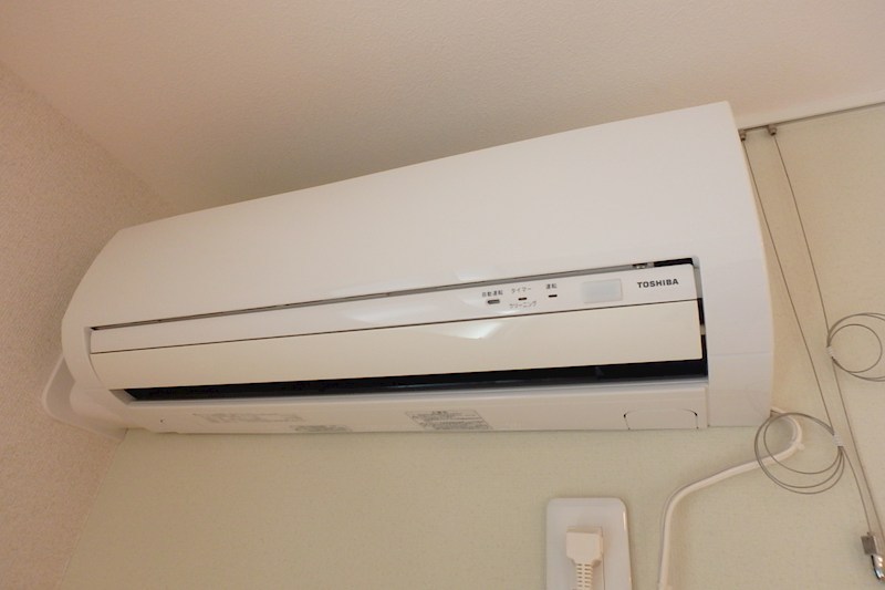 Ｌｏｔｕｓ　Ｎｏｖｅ その他3