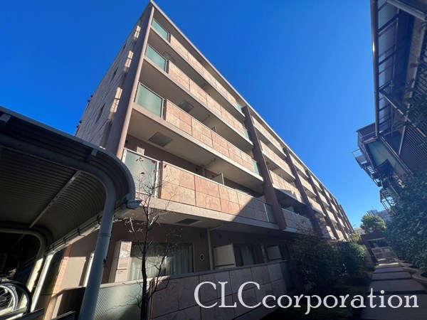 セレリーオ・ニッコー 外観